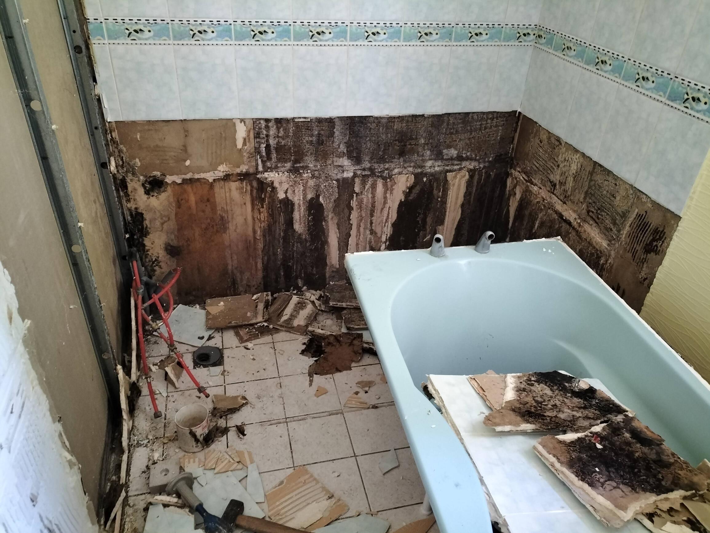 La salle de bain avant rénovation